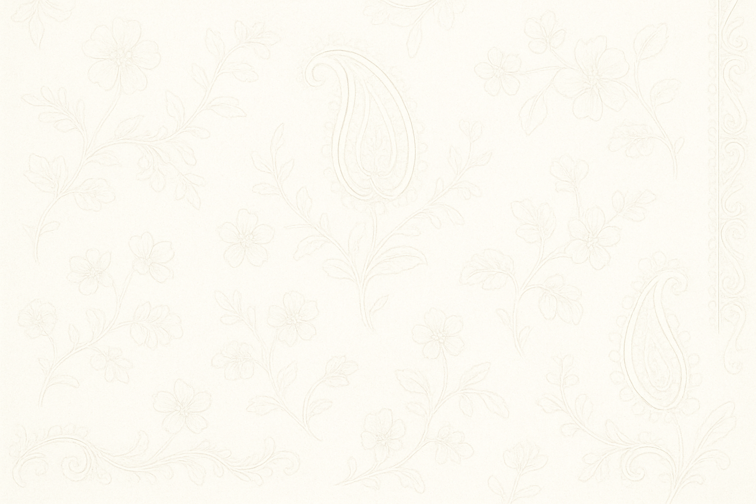 A white/Ivory background with very light stencil like drawings of the embroidery done